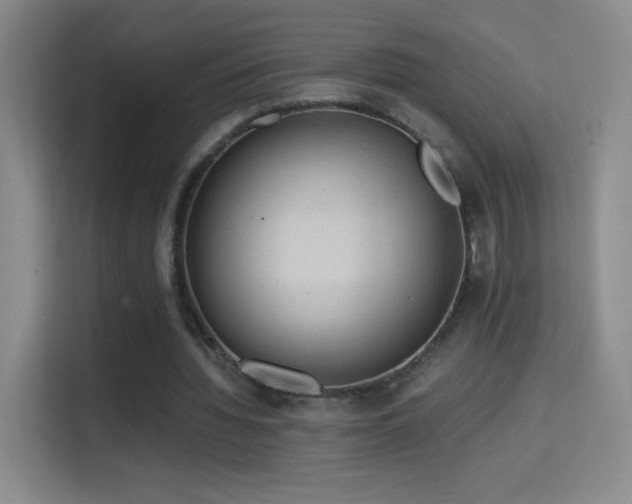 X0000114680436200910211213