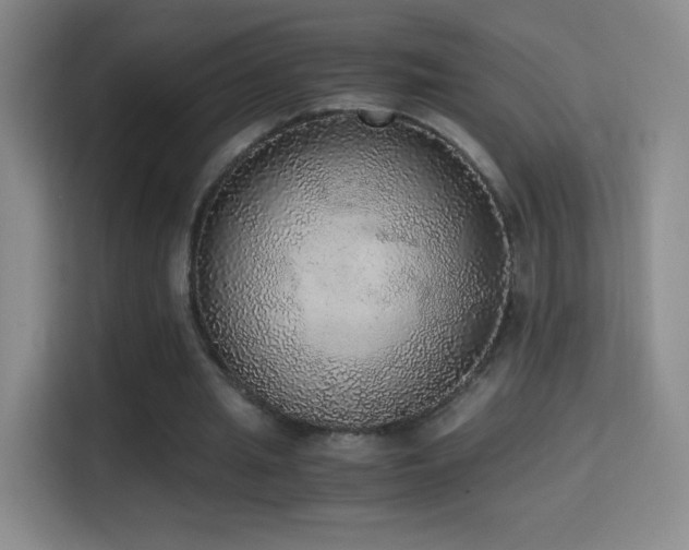 X0000114680437200910211213