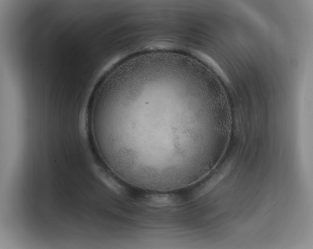 X0000114680439200910211213