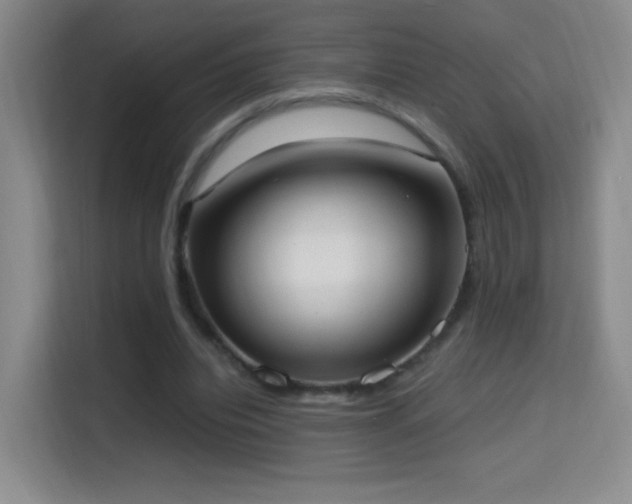 X0000114680440200910211213