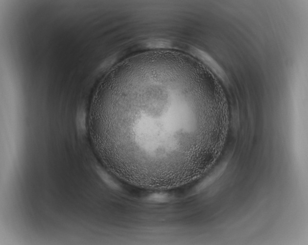 X0000114680441200910211213