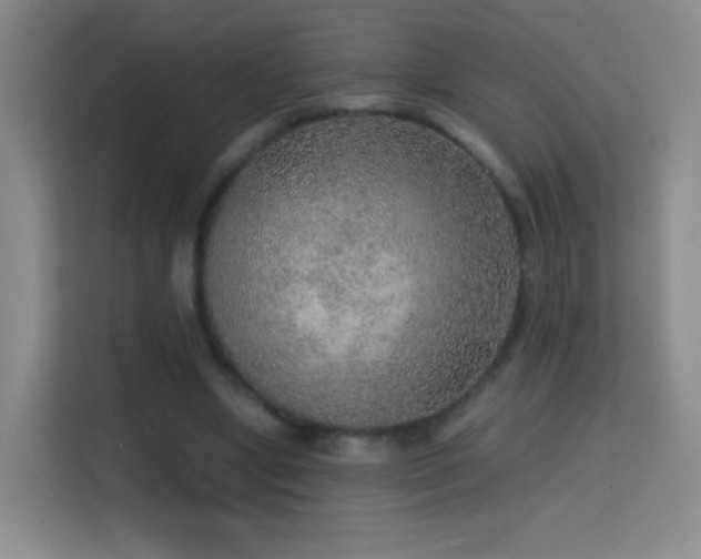 X0000114680442200910211213