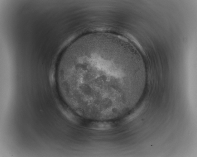 X0000114680443200910211213