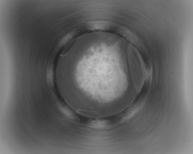 X0000114680444200910211213