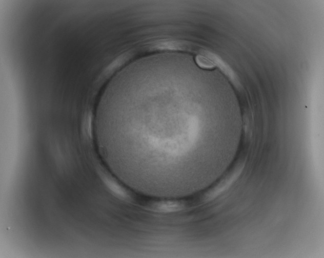 X0000114680445200910211213