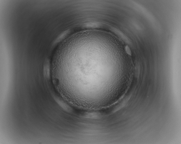 X0000114680446200910211213