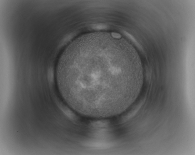 X0000114680447200910211213