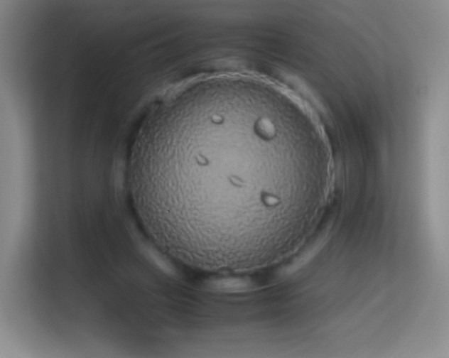 X0000114680449200910211213