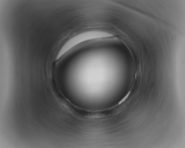 X0000114680452200910211213