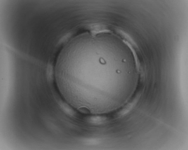 X0000114680453200910211213