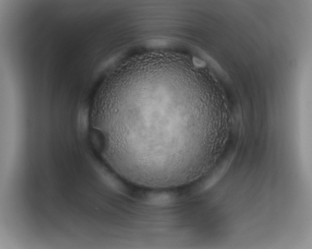 X0000114680454200910211213