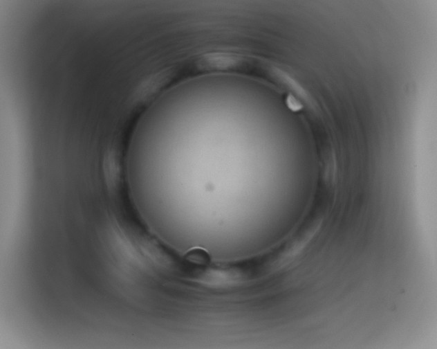 X0000114680455200910211213