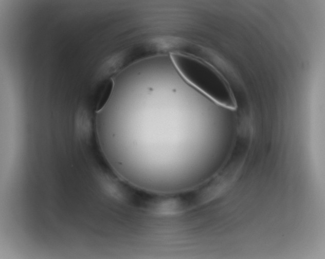 X0000114680456200910211213