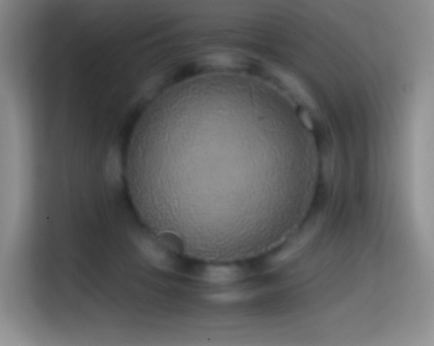 X0000114680457200910211213