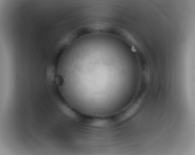 X0000114680458200910211214