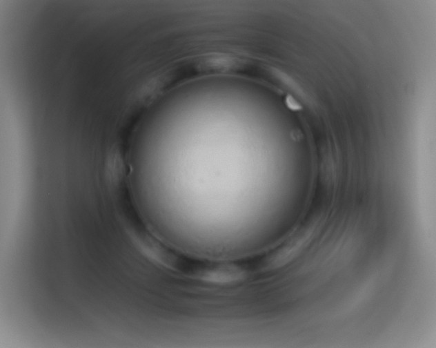 X0000114680459200910211214