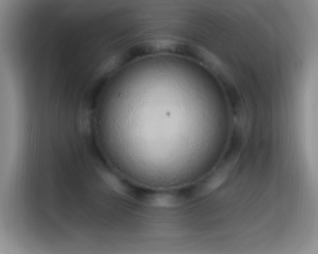 X0000114680462200910211214