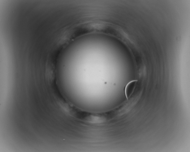 X0000114680464200910211214