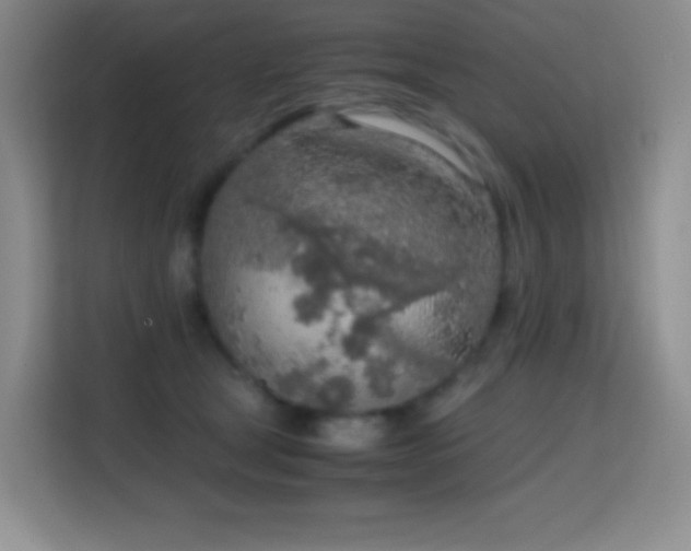 X0000114680465200910211214