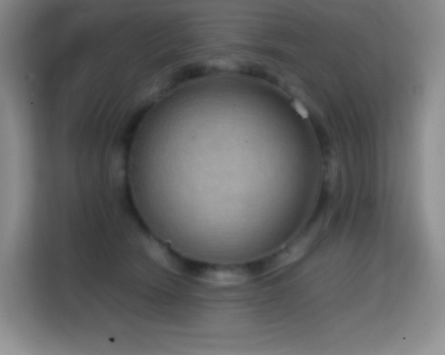 X0000114680466200910211214