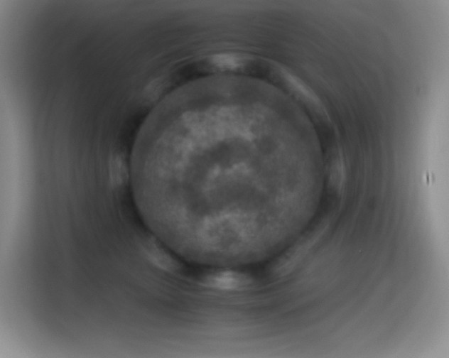 X0000114680467200910211214