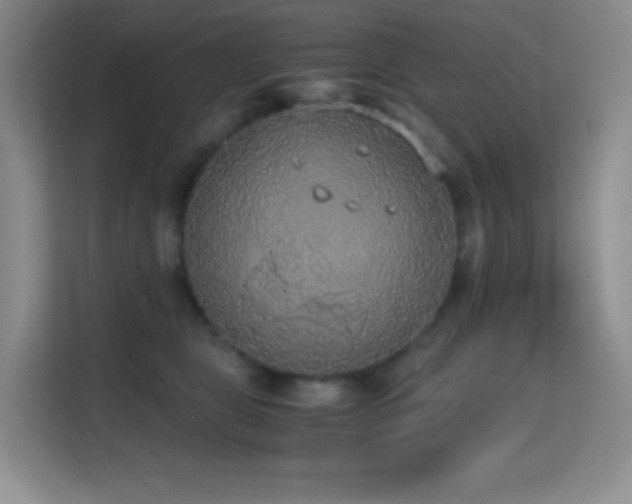 X0000114680469200910211214