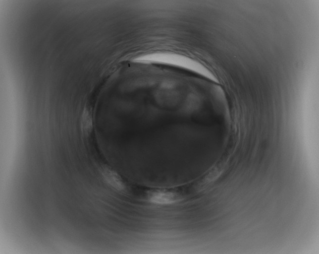 X0000114680471200910211214