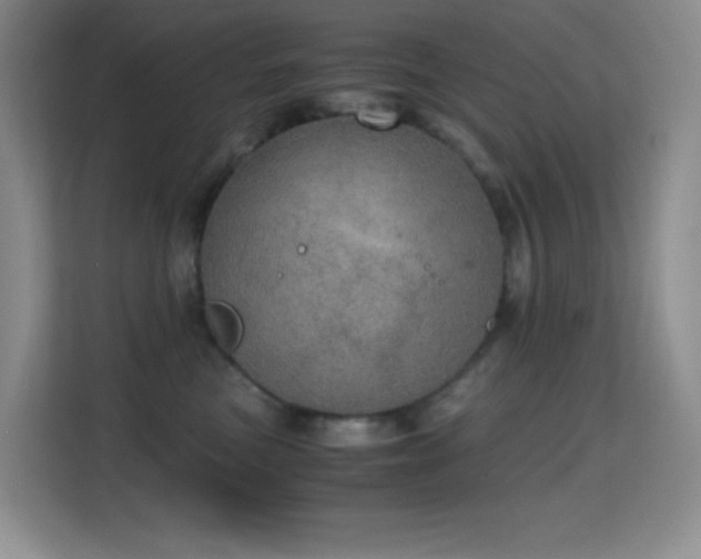 X0000114680473200910211214