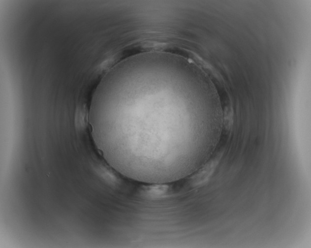 X0000114680474200910211214