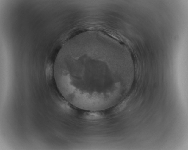 X0000114680475200910211214