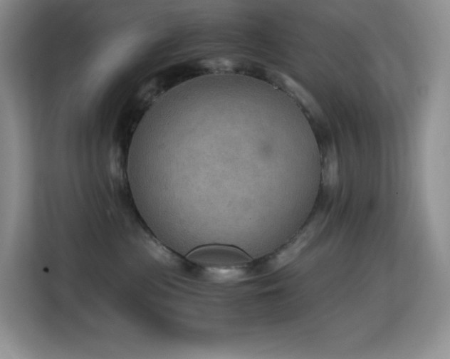 X0000114680477200910211214