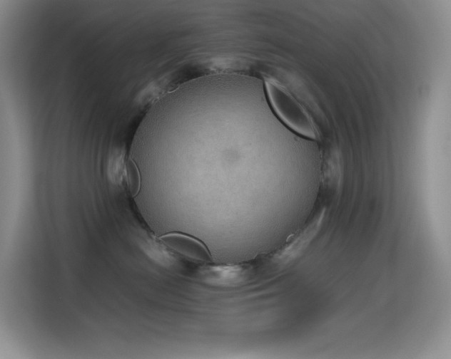 X0000114680478200910211214