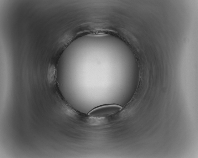 X0000114680480200910211214