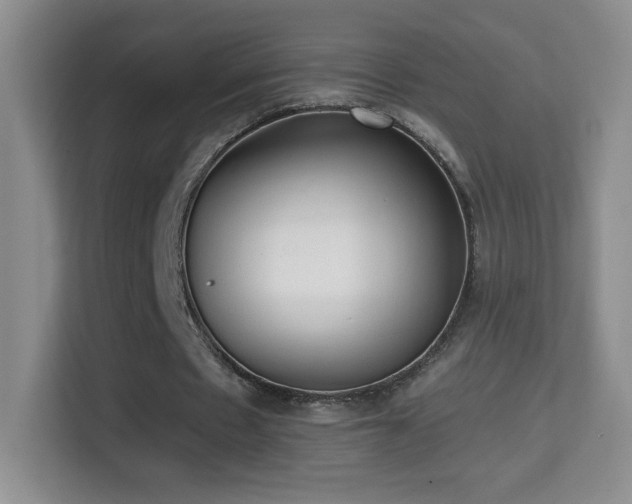 X0000114680481200910211213