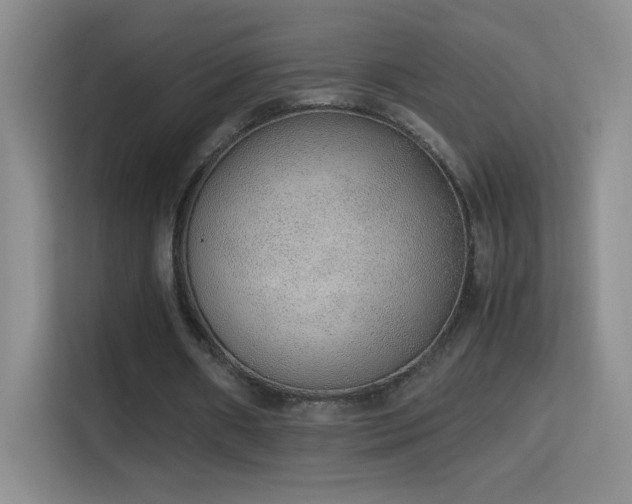 X0000114680482200910211213
