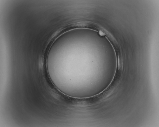 X0000114680483200910211213