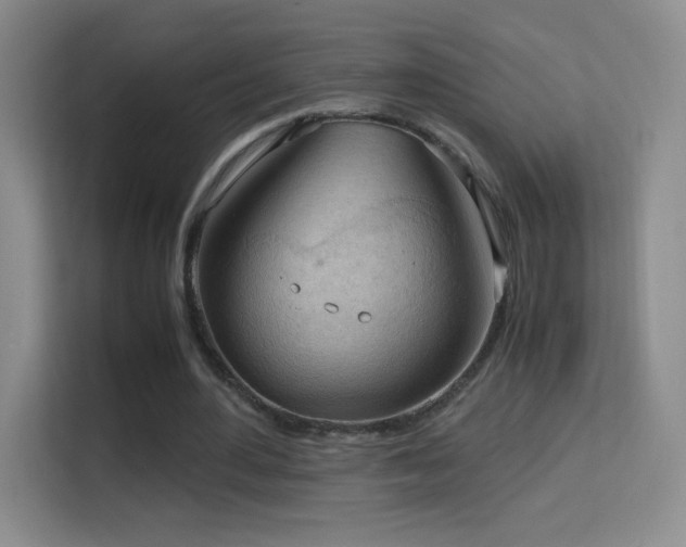 X0000114680484200910211213