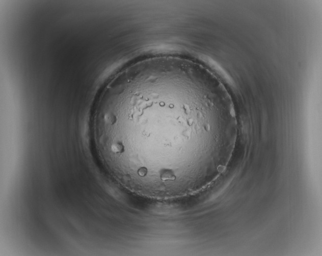 X0000114680487200910211213
