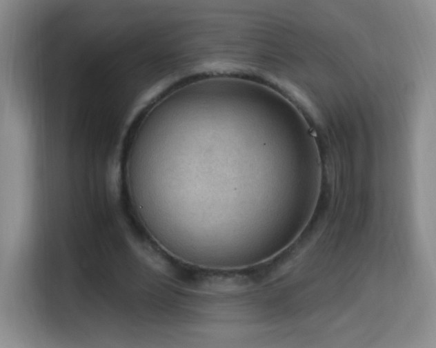 X0000114680488200910211213