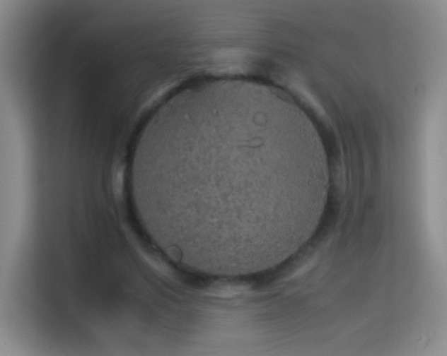 X0000114680491200910211213