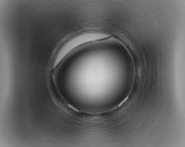 X0000114680492200910211213