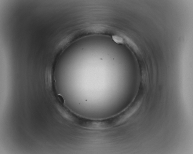 X0000114680493200910211213