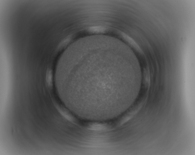X0000114680494200910211213