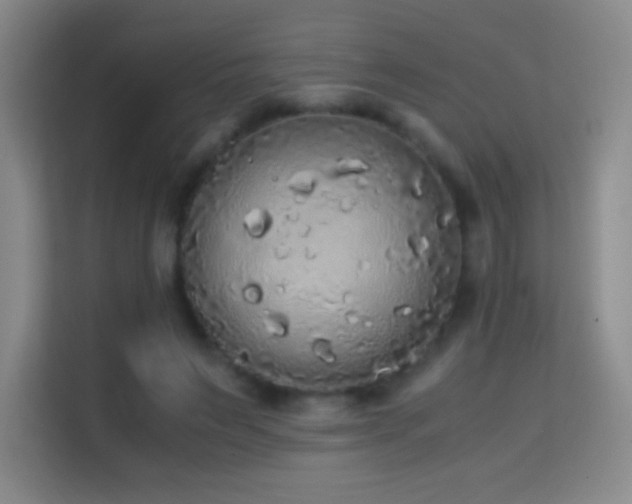 X0000114680495200910211213