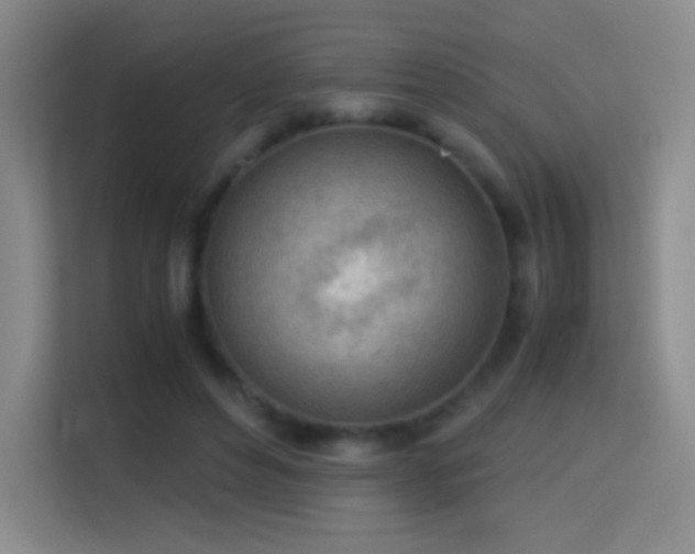 X0000114680496200910211213