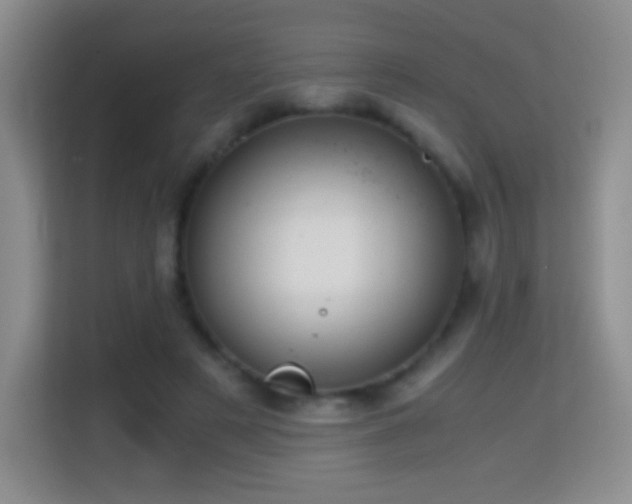 X0000114680497200910211213