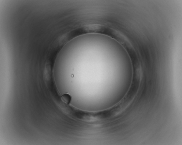 X0000114680498200910211213