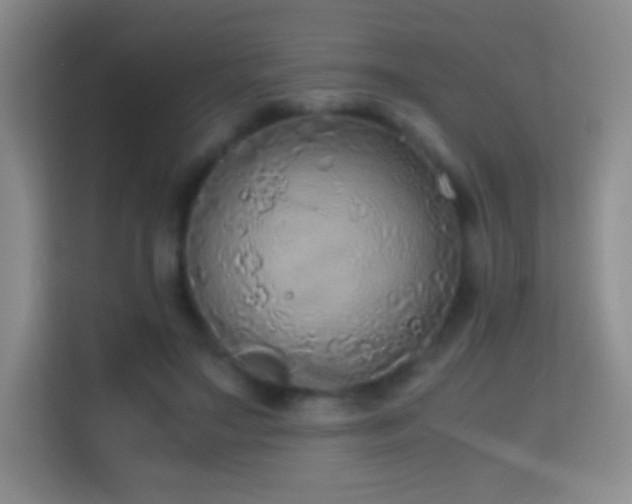 X0000114680499200910211213