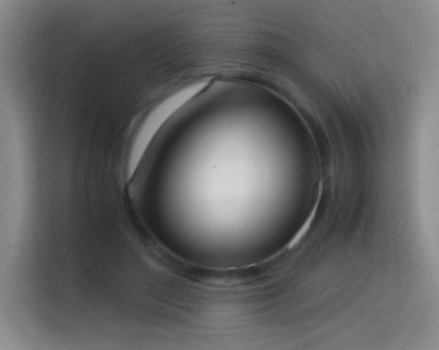 X0000114680500200910211213