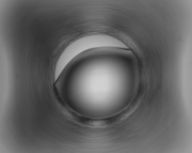 X0000114680501200910211213